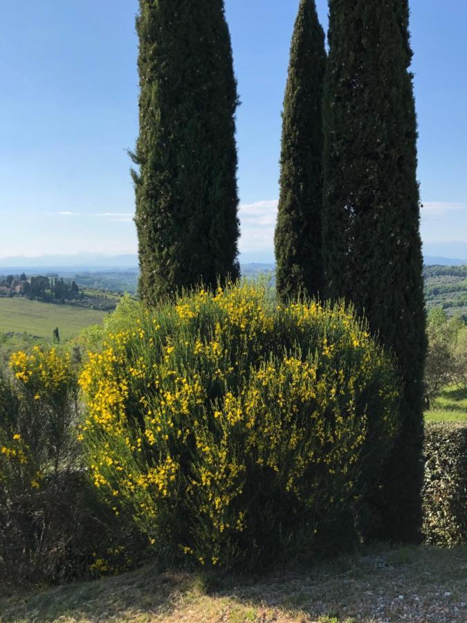 Podere Ghiole مونتيزبيرتولي المظهر الخارجي الصورة