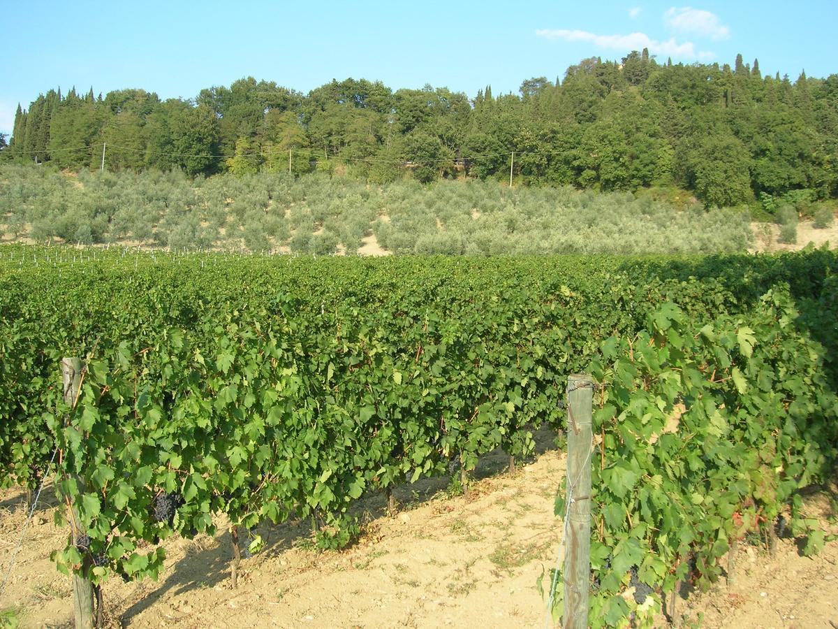 Podere Ghiole مونتيزبيرتولي المظهر الخارجي الصورة